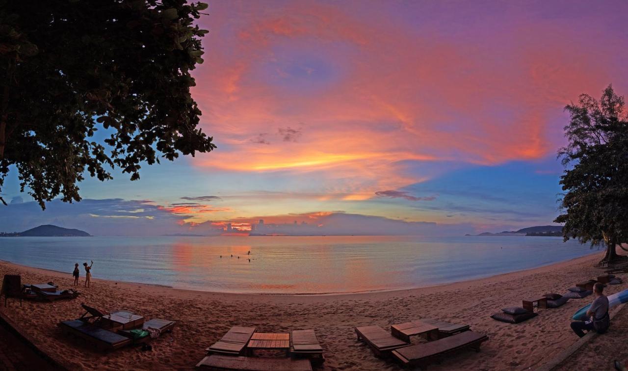 Satva Samui Yoga And Wellness Resort Amphoe Koksamui Exteriér fotografie